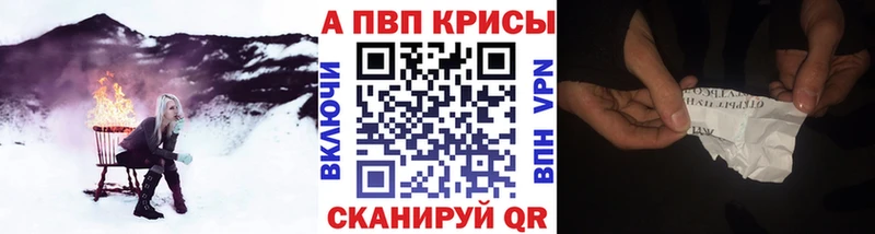 OMG вход  Салаир  Альфа ПВП крисы CK 