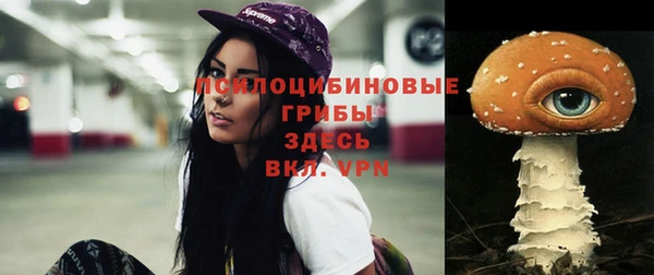 apvp Балабаново