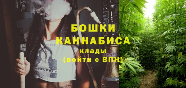 PSILOCYBIN Баксан