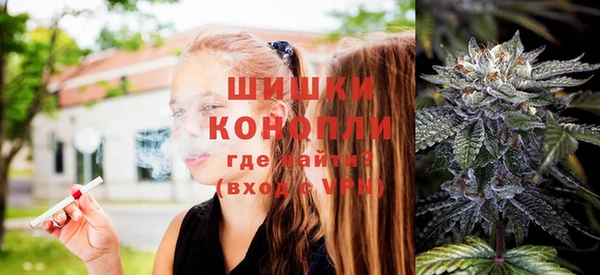 PSILOCYBIN Баксан