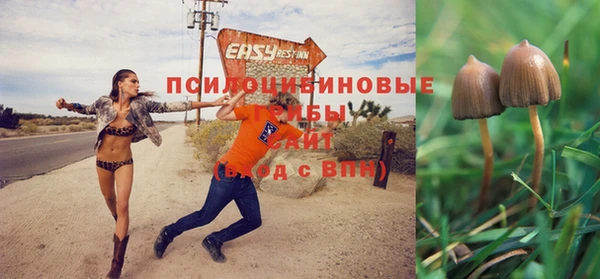 герыч Струнино