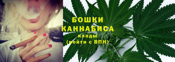 PSILOCYBIN Баксан