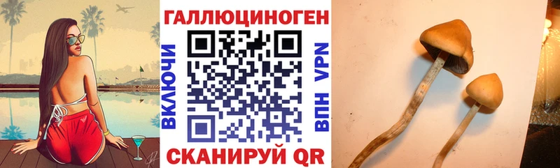 Галлюциногенные грибы Cubensis  Салаир 