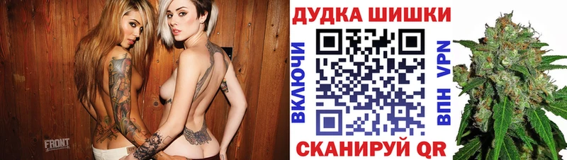 Канабис гибрид  Салаир 